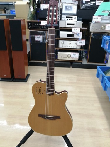 Guitare électrique acoustique